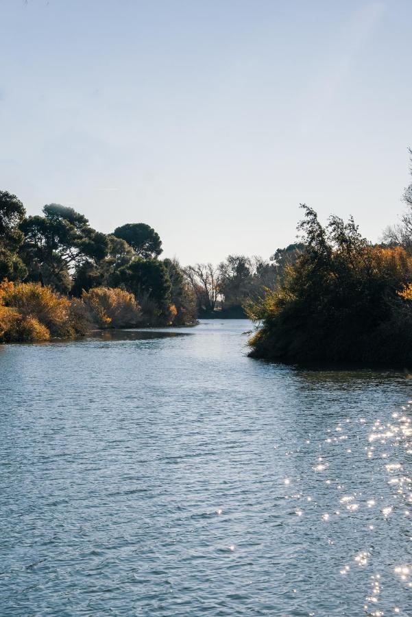Domaine De Merins, 10 Couchages Avec Piscine, Face A La Riviere, A 4Km De La Plage فلوري المظهر الخارجي الصورة